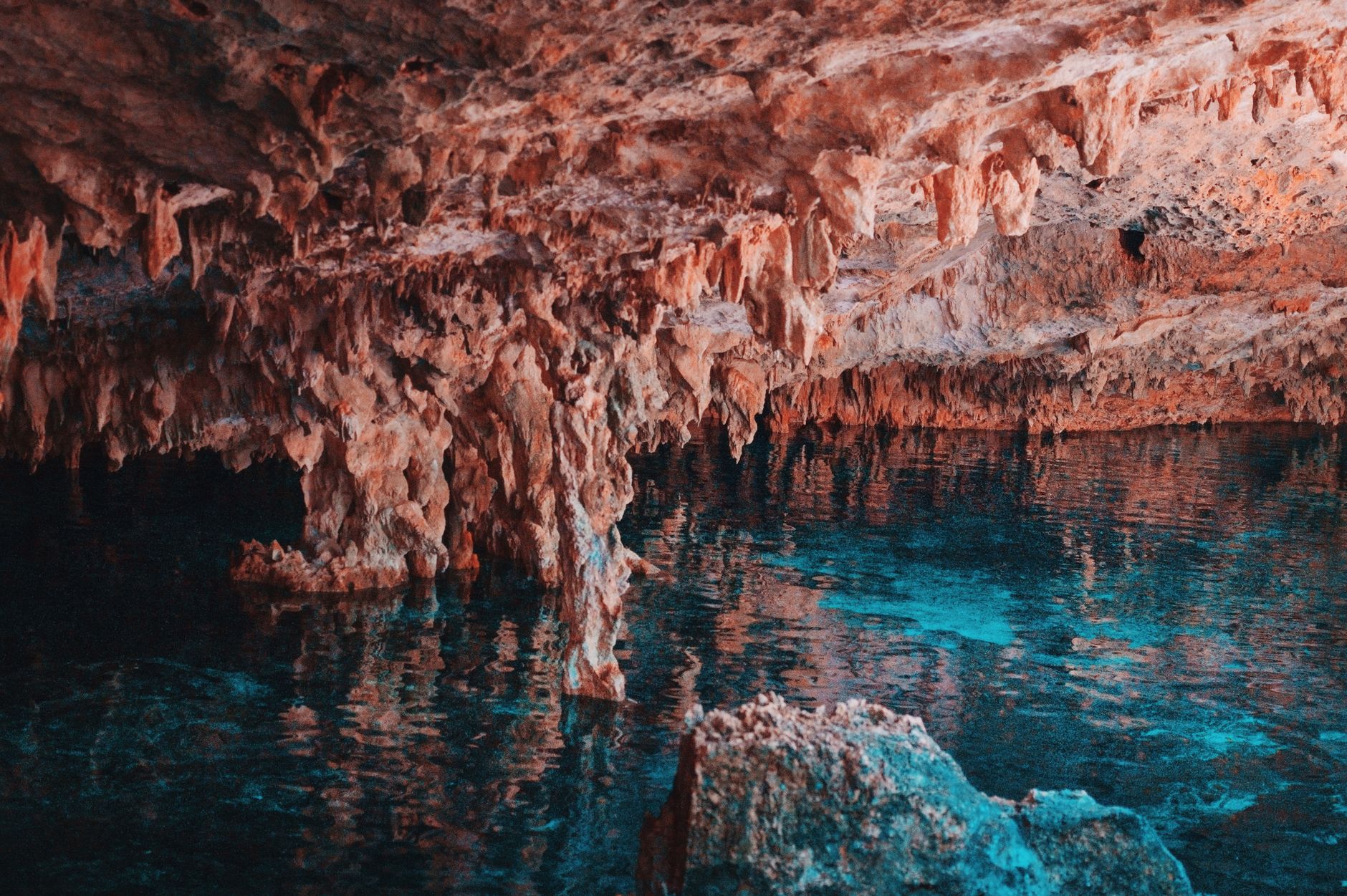 Vista desde el interior de un cenote hacia la luz natural